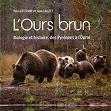 L'Ours BRUN