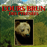 L'Ours Brun des Pyrénées